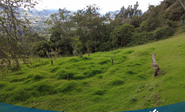 Vendo Lote de 5035 mts en Tabio Rio Frio Occidental