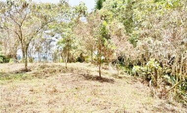 LOTE 7.950 M² EN VEREDA LOS PINOS, RIONEGRO