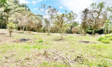 LOTE 7.950 M² EN VEREDA LOS PINOS, RIONEGRO