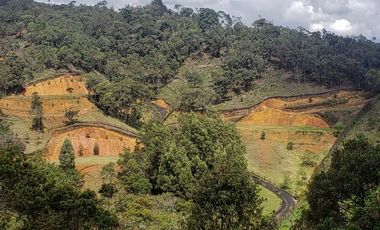 Venta Lote Parcelacion Alto Palmas Envigado