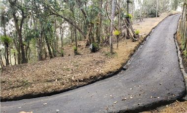 Venta Lote Parcelacion Alto Palmas Envigado