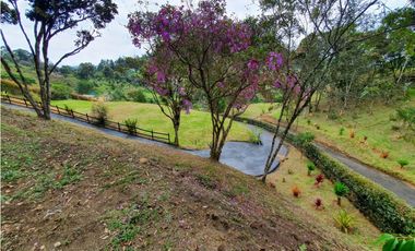 Venta Lote Parcelacion Alto Palmas Envigado