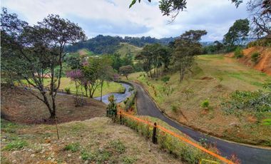 Venta Lote Parcelacion Alto Palmas Envigado