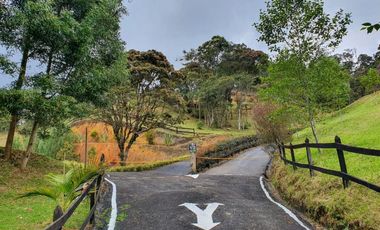 Venta Lote Parcelacion Alto Palmas Envigado