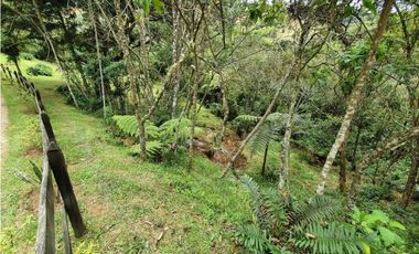 Venta Lote Parcelacion Alto Palmas Envigado