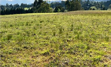 Venta de Lote en Parque Industrial Guarne