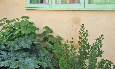 Local comercial en arriendo en BUIN