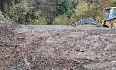 Parcela en venta en OSORNO