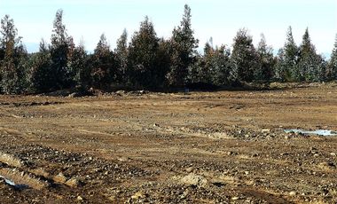 Terreno Construccion  en Venta en Sector Santa Rita. Entre Angol y Renaico.