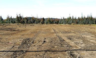 Terreno Construccion  en Venta en Sector Santa Rita. Entre Angol y Renaico.