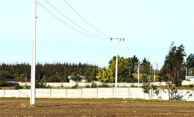 Terreno Construccion  en Venta en Sector Santa Rita. Entre Angol y Renaico.