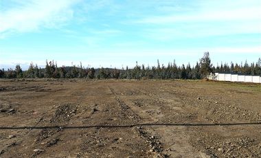 Terreno Construccion  en Venta en Sector Santa Rita. Entre Angol y Renaico.