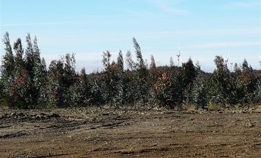 Terreno Construccion  en Venta en Sector Santa Rita. Entre Angol y Renaico.