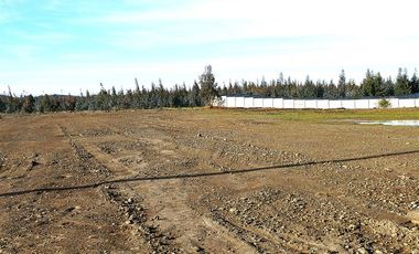 Terreno Construccion  en Venta en Sector Santa Rita. Entre Angol y Renaico.