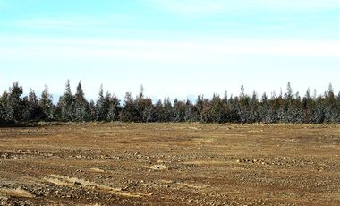 Terreno Construccion  en Venta en Sector Santa Rita. Entre Angol y Renaico.