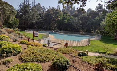 Departamento en Arriendo en Centro de Papudo