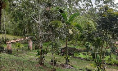 Venta de Finca  Campestre en Marinilla