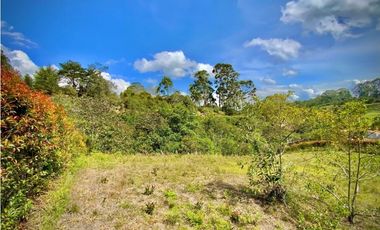 Venta Lote Parcelacion Via San Antonio La Ceja (Carmen de Viboral)