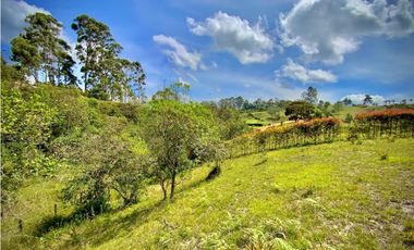 Venta Lote Parcelacion Via San Antonio La Ceja (Carmen de Viboral)