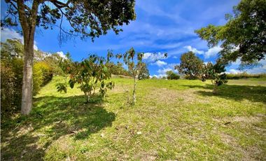 Venta Lote Parcelacion Via San Antonio La Ceja (Carmen de Viboral)