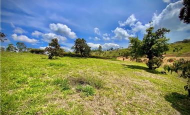 Venta Lote Parcelacion Via San Antonio La Ceja (Carmen de Viboral)