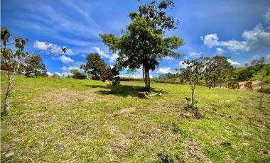 Venta Lote Parcelacion Via San Antonio La Ceja (Carmen de Viboral)