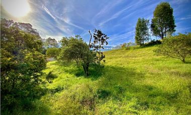 Lote Parcelacion Via San Antonio La Ceja (Carmen de Viboral)