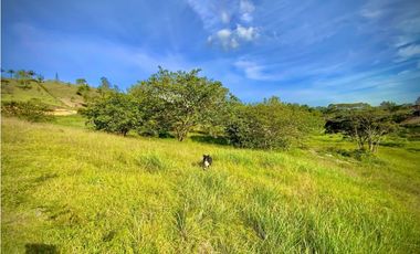 Lote Parcelacion Via San Antonio La Ceja (Carmen de Viboral)