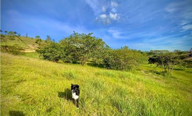 Lote Parcelacion Via San Antonio La Ceja (Carmen de Viboral)