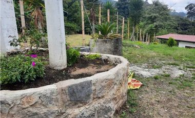 Venta de Finquita cerca de la autopista a La Mesa