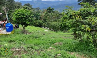 Venta de Finquita cerca de la autopista a La Mesa
