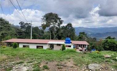 Venta de Finquita cerca de la autopista a La Mesa