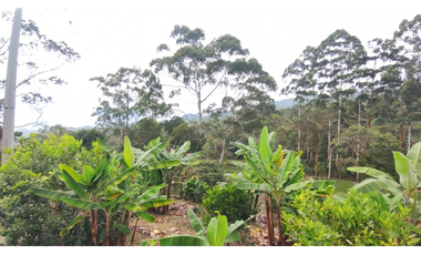 Finca de 12800 m2 en 480 mill en Pradilla, Mesitas del Colegio cund