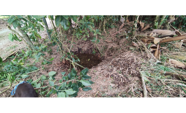 Finca de 12800 m2 en 480 mill en Pradilla, Mesitas del Colegio cund