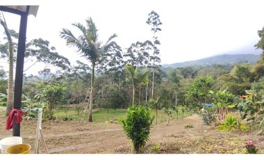 Finca de 12800 m2 en 480 mill en Pradilla, Mesitas del Colegio cund