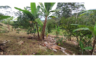 Finca de 12800 m2 en 480 mill en Pradilla, Mesitas del Colegio cund