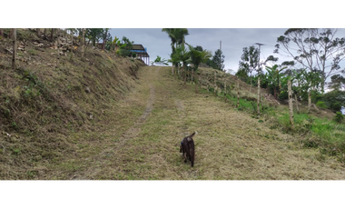 Finca de 12800 m2 en 480 mill en Pradilla, Mesitas del Colegio cund