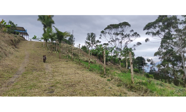 Finca de 12800 m2 en 480 mill en Pradilla, Mesitas del Colegio cund