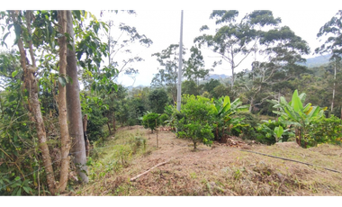 Finca de 12800 m2 en 480 mill en Pradilla, Mesitas del Colegio cund