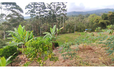 Finca de 12800 m2 en 480 mill en Pradilla, Mesitas del Colegio cund