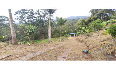 Finca de 12800 m2 en 480 mill en Pradilla, Mesitas del Colegio cund