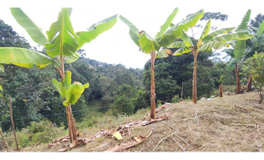 Finca de 12800 m2 en 480 mill en Pradilla, Mesitas del Colegio cund