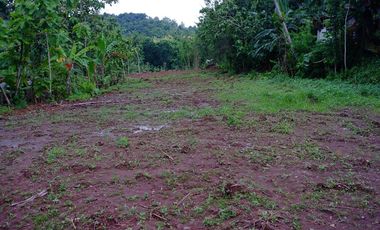 Dekat RS Nur Hidayah Rumah Siap Bangun Imogiri Bantul , Harga Murah