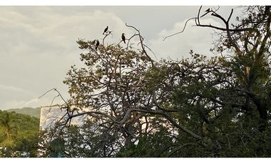 ALQUILER CASA FRENTE AL MAR 4 HABITACIONES BELLO HORIZONTE SANTA MARTA