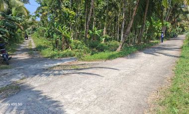 JUAL TANAH DI SOGAN WATES KULONPROGO VIEW SAWAH