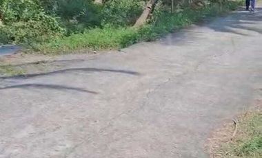 JUAL TANAH DI SOGAN WATES KULONPROGO VIEW SAWAH