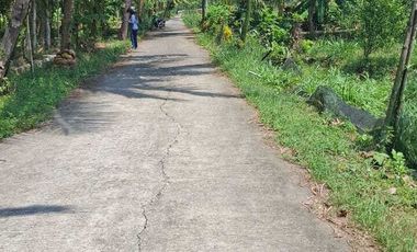 JUAL TANAH DI SOGAN WATES KULONPROGO VIEW SAWAH