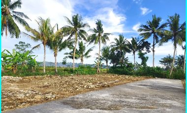 Tawangsari, Rumah 300 Jt-an Model Bali Style Dekat Bandara YIA