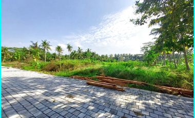 Dekat Stasun Wates, Rumah di Tawangsari Pengasih Model Japandi Type 50