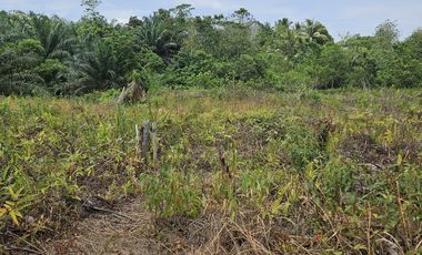 DIJUAL TANAH JL SOEKARNO HATTA